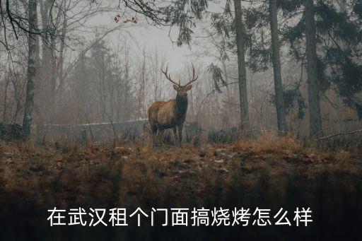 在武漢租個(gè)門面搞燒烤怎么樣