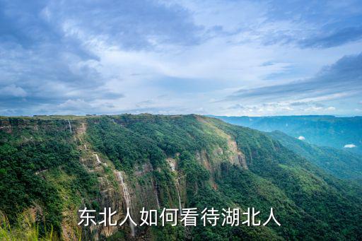 湖北宜昌人怎么相處,東北人如何看待湖北人