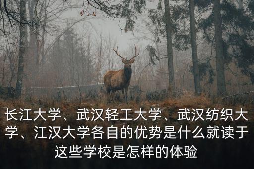 武漢紡織大學的管理學怎么樣,武漢紡織大學