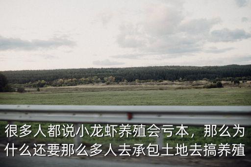 湖北孝感小龍蝦怎么來養殖,湖北農村怎么把小龍蝦賣外地