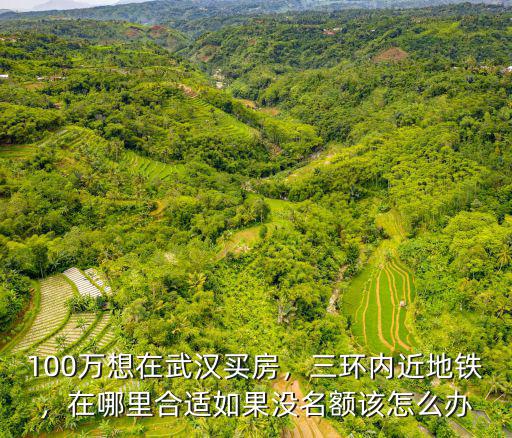 如果武漢三環內買不到房子怎么辦,如果武漢三環內買不到房