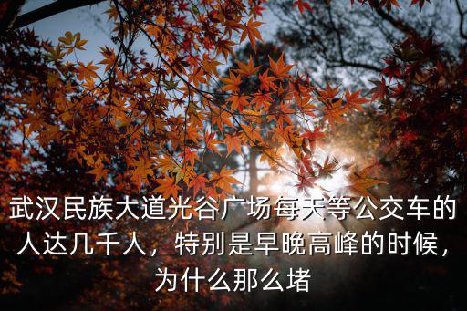 武漢民族大道光谷廣場每天等公交車的人達幾千人，特別是早晚高峰的時候，為什么那么堵
