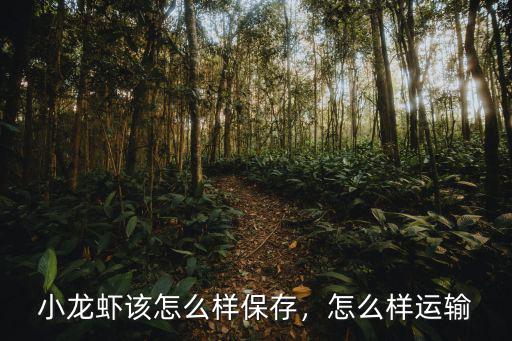 小龍蝦該怎么樣保存，怎么樣運輸