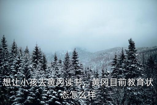 想讓小孩去黃岡讀書，黃岡目前教育狀態怎么樣