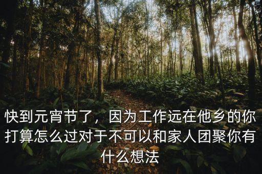 快到元宵節了，因為工作遠在他鄉的你打算怎么過對于不可以和家人團聚你有什么想法