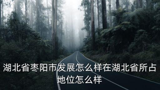 棗陽在湖北發展怎么樣,湖北省棗陽市發展怎么樣