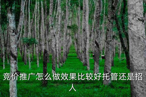 湖北競價托管怎么投放效果好,競價推廣怎么做效果比較好