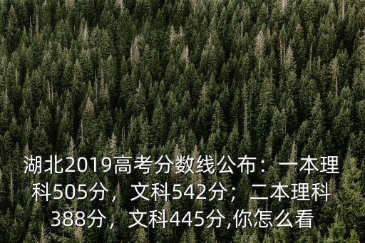 湖北2019高考分數線公布：一本理科505分，文科542分；二本理科388分，文科445分,你怎么看