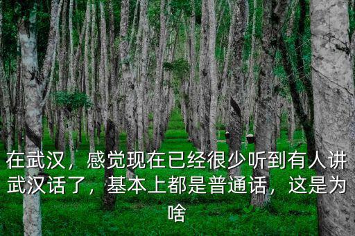 在武漢，感覺現在已經很少聽到有人講武漢話了，基本上都是普通話，這是為啥