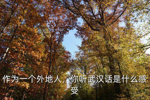 作為一個外地人，你聽武漢話是什么感受