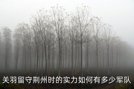 關(guān)羽的荊州軍戰(zhàn)力怎么樣,把關(guān)羽和荊州軍調(diào)入西川