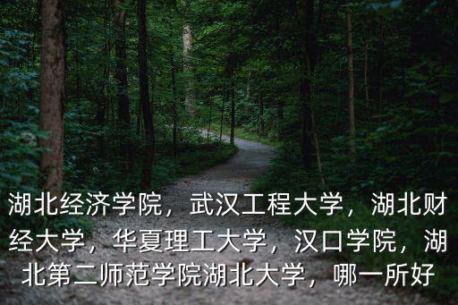 湖北經濟學院，武漢工程大學，湖北財經大學，華夏理工大學，漢口學院，湖北第二師范學院湖北大學，哪一所好