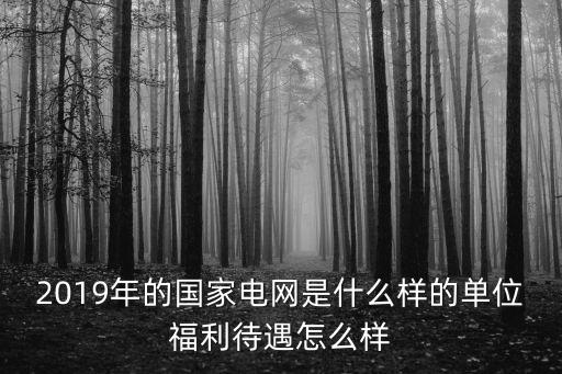 2019年的國家電網是什么樣的單位福利待遇怎么樣