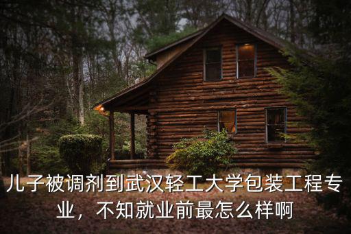 兒子被調(diào)劑到武漢輕工大學(xué)包裝工程專業(yè)，不知就業(yè)前最怎么樣啊