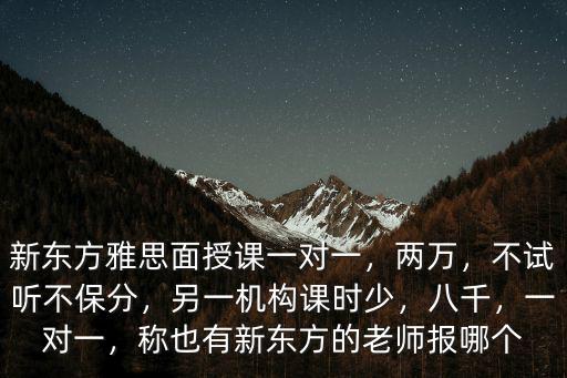 新東方雅思面授課一對一，兩萬，不試聽不保分，另一機構課時少，八千，一對一，稱也有新東方的老師報哪個
