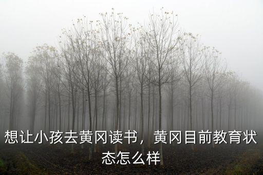 想讓小孩去黃岡讀書，黃岡目前教育狀態怎么樣
