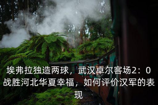 武漢卓爾怎么不上埃弗拉,武漢卓爾客場2