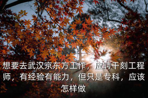 想要去武漢京東方工作，應(yīng)聘干刻工程師，有經(jīng)驗(yàn)有能力，但只是?？?，應(yīng)該怎樣做