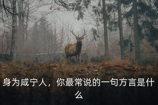 身為咸寧人，你最常說的一句方言是什么