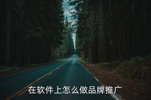 在軟件上怎么做品牌推廣
