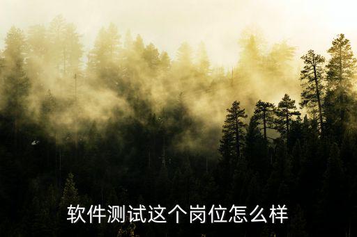 武漢軟件測(cè)試這行怎么樣,軟件測(cè)試這個(gè)行業(yè)怎么樣