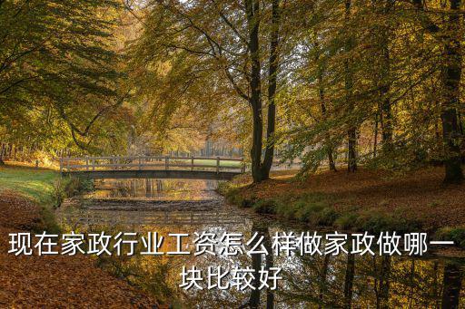 十堰家政市場怎么樣,清潔家政行業怎么樣