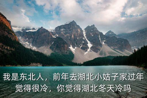 我是東北人，前年去湖北小姑子家過年覺得很冷，你覺得湖北冬天冷嗎