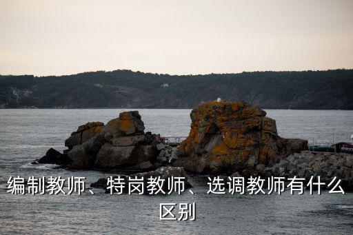 編制教師、特崗教師、選調(diào)教師有什么區(qū)別