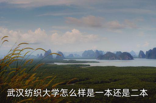 武漢紡織療養院怎么樣,武漢紡織大學怎么樣