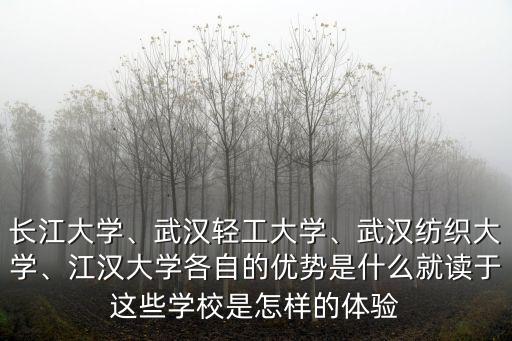 長江大學(xué)、武漢輕工大學(xué)、武漢紡織大學(xué)、江漢大學(xué)各自的優(yōu)勢是什么就讀于這些學(xué)校是怎樣的體驗