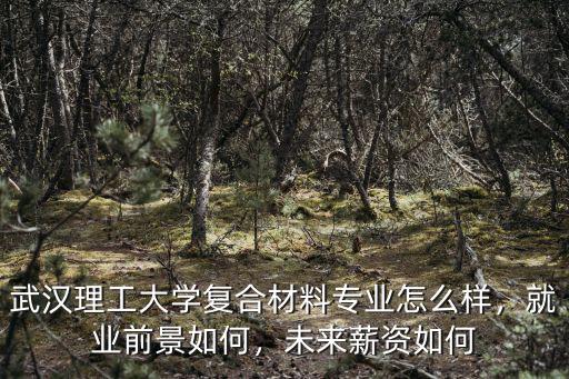 武漢理工大學復合材料專業怎么樣，就業前景如何，未來薪資如何