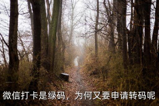微信怎么弄武漢綠碼,微信打卡是綠碼