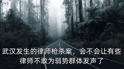 武漢光谷發生槍擊案律師怎么樣了,武漢發生的律師槍殺案