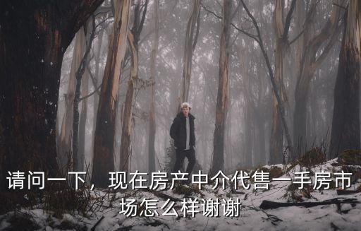 鄂州市房地產中介市場怎么樣,做房產中介怎么樣
