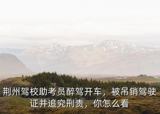 荊州安運駕校教練怎么樣,教練駕校賠14萬多