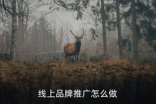 孝感品牌推廣怎么做,線上品牌推廣怎么做