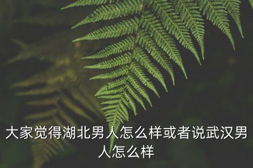 湖北武漢男人怎么樣,或者說武漢男人怎么樣