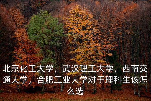 北京化工大學(xué)，武漢理工大學(xué)，西南交通大學(xué)，合肥工業(yè)大學(xué)對于理科生該怎么選
