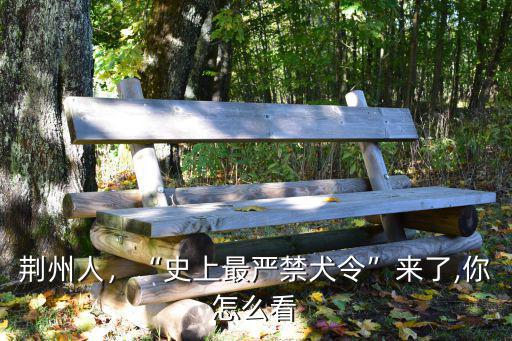 荊州人，“史上最嚴禁犬令”來了,你怎么看