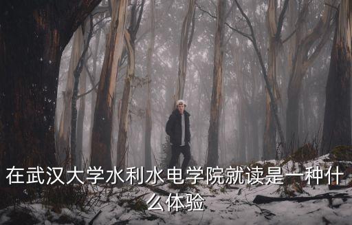 在武漢大學(xué)水利水電學(xué)院就讀是一種什么體驗