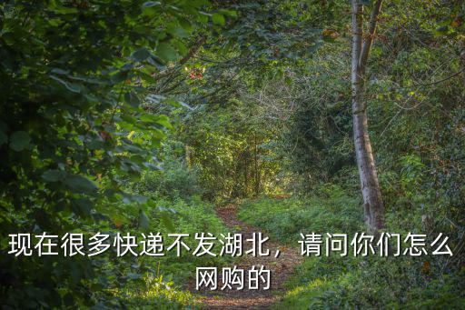 湖北現(xiàn)在怎么網(wǎng)購(gòu)最快,現(xiàn)在很多快遞不發(fā)湖北