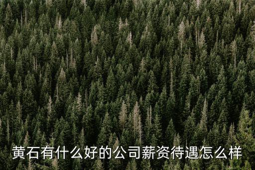 黃石有什么好的公司薪資待遇怎么樣