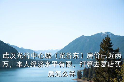 武漢光谷飛行體驗(yàn)中心怎么樣,武漢光谷中心城