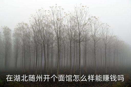 在湖北隨州開個面館怎么樣能賺錢嗎