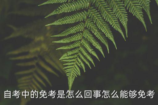 自考中的免考是怎么回事怎么能夠免考