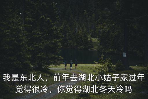 我是東北人，前年去湖北小姑子家過年覺得很冷，你覺得湖北冬天冷嗎