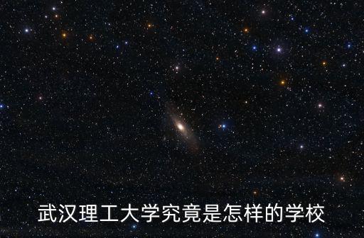 武漢理工大學侯慧怎么樣,武漢理工大學口碑怎么樣