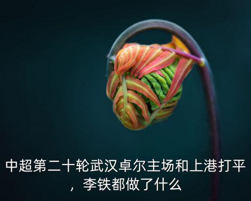 武漢卓爾主場怎么樣了,武漢卓爾沖超是不是穩了