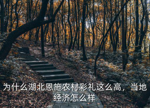 湖北宣恩經濟怎么樣,當地經濟怎么樣