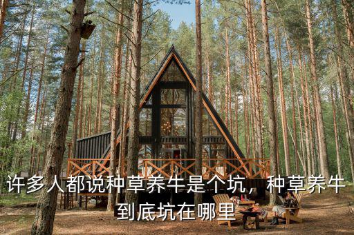 許多人都說種草養牛是個坑，種草養牛到底坑在哪里